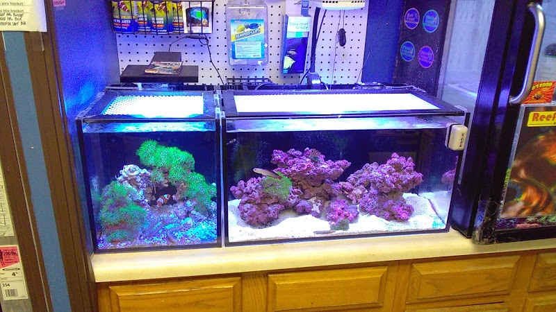 A Reef Creation - Photo 3