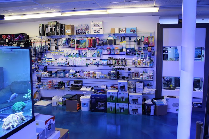 A Reef Creation - Photo 5