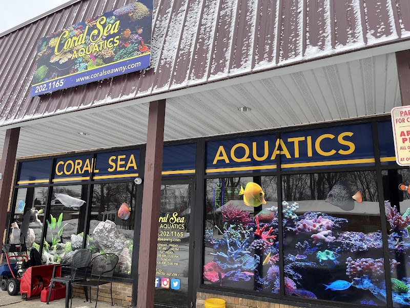 Coral Sea Aquatics - Photo 1
