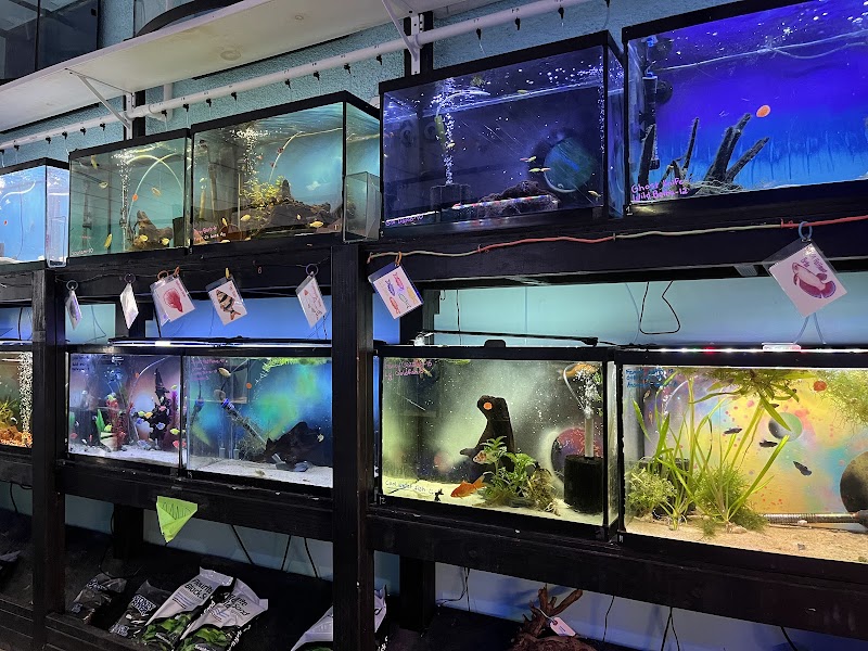 Coral Sea Aquatics - Photo 3