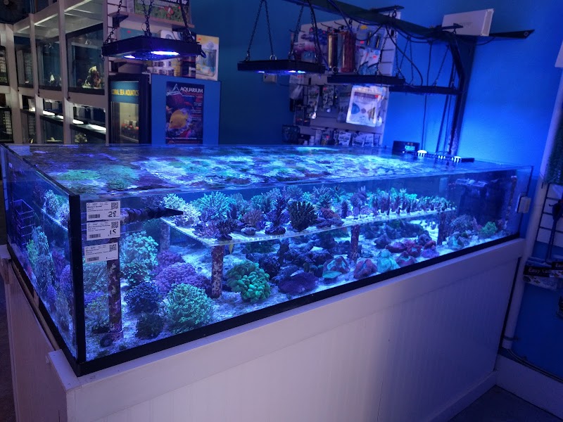 Coral Sea Aquatics - Photo 5