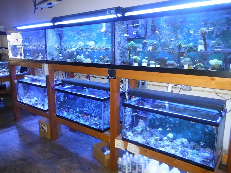 Salt Water Paradise - Photo 2