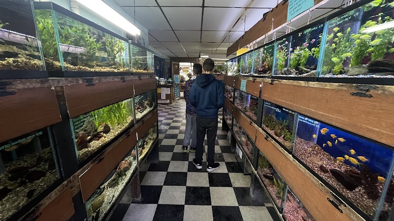 The Fish Place - Photo 3