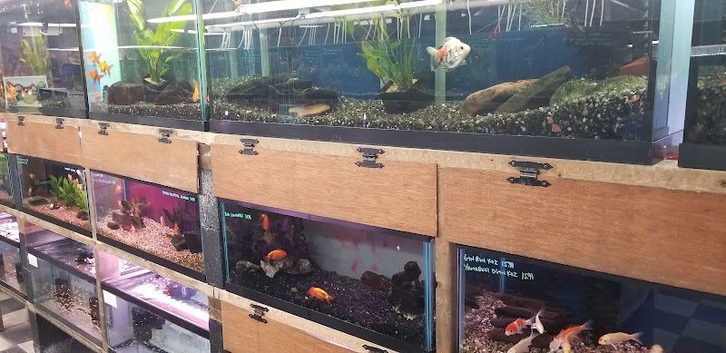 The Fish Place - Photo 4