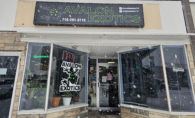 Avalon Exotics - Photo 1