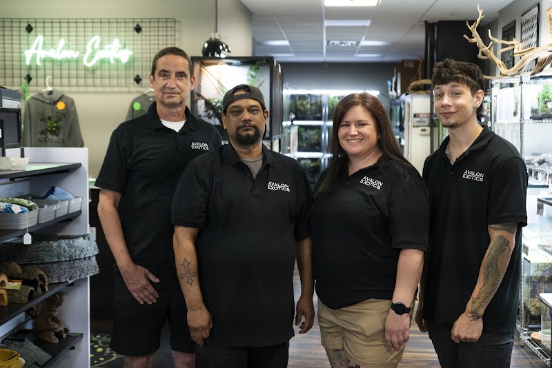 Avalon Exotics - Photo 2