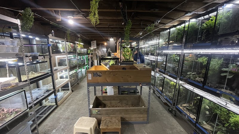 Avalon Exotics - Photo 3