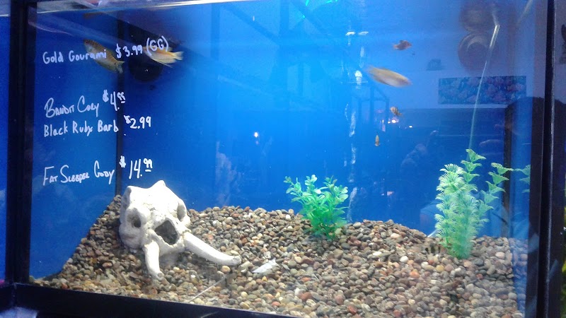 Buffalo Pet Supply - Photo 3