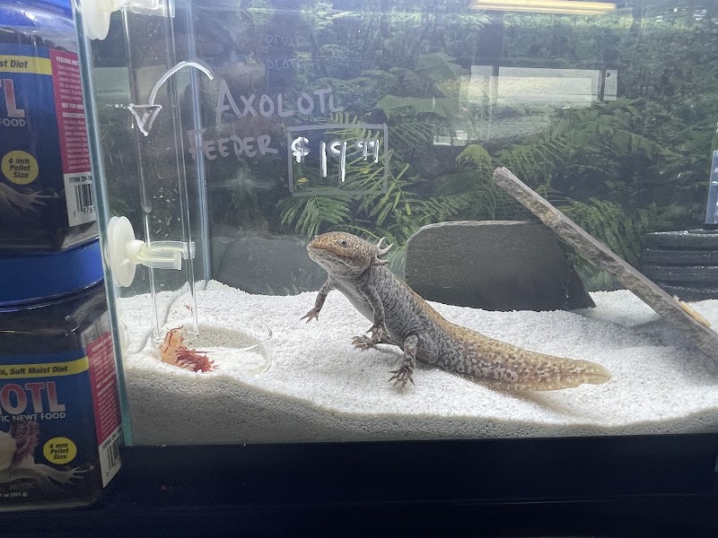 Buffalo Pet Supply - Photo 5