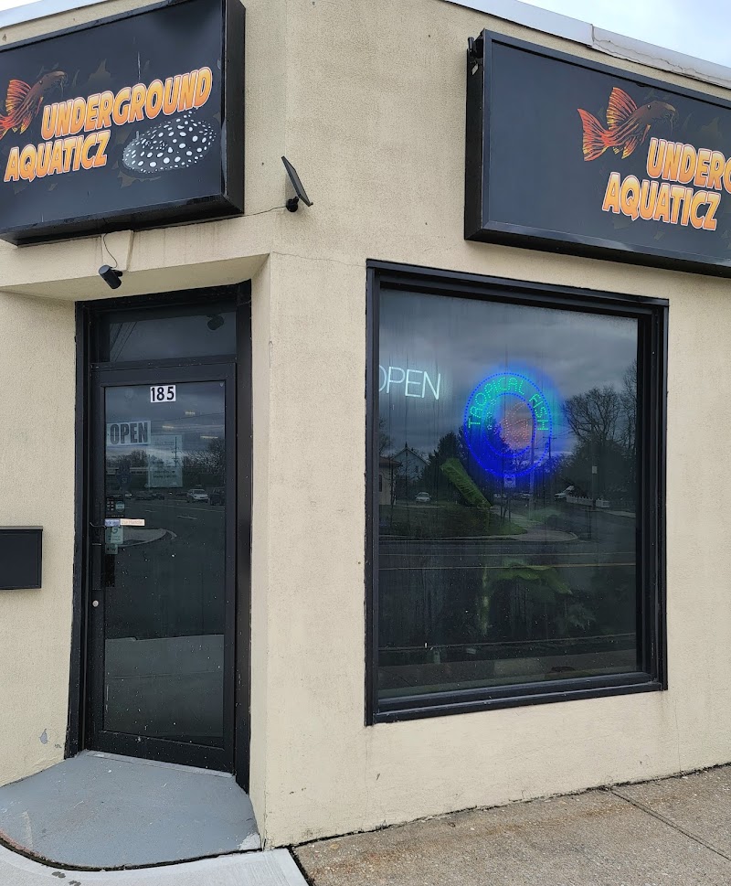 Underground Aquaticz - Photo 1