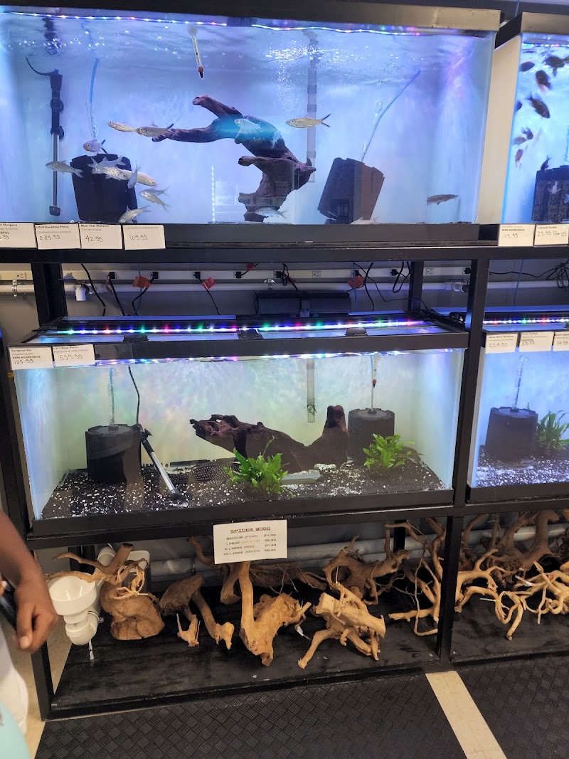 Underground Aquaticz - Photo 3