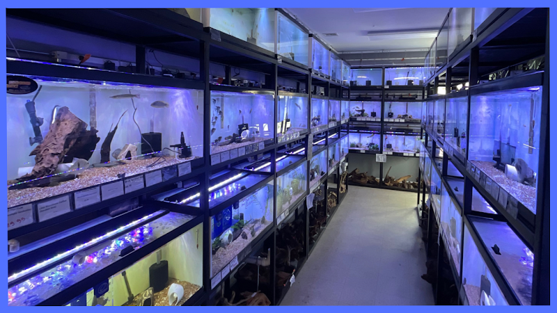 Underground Aquaticz - Photo 4