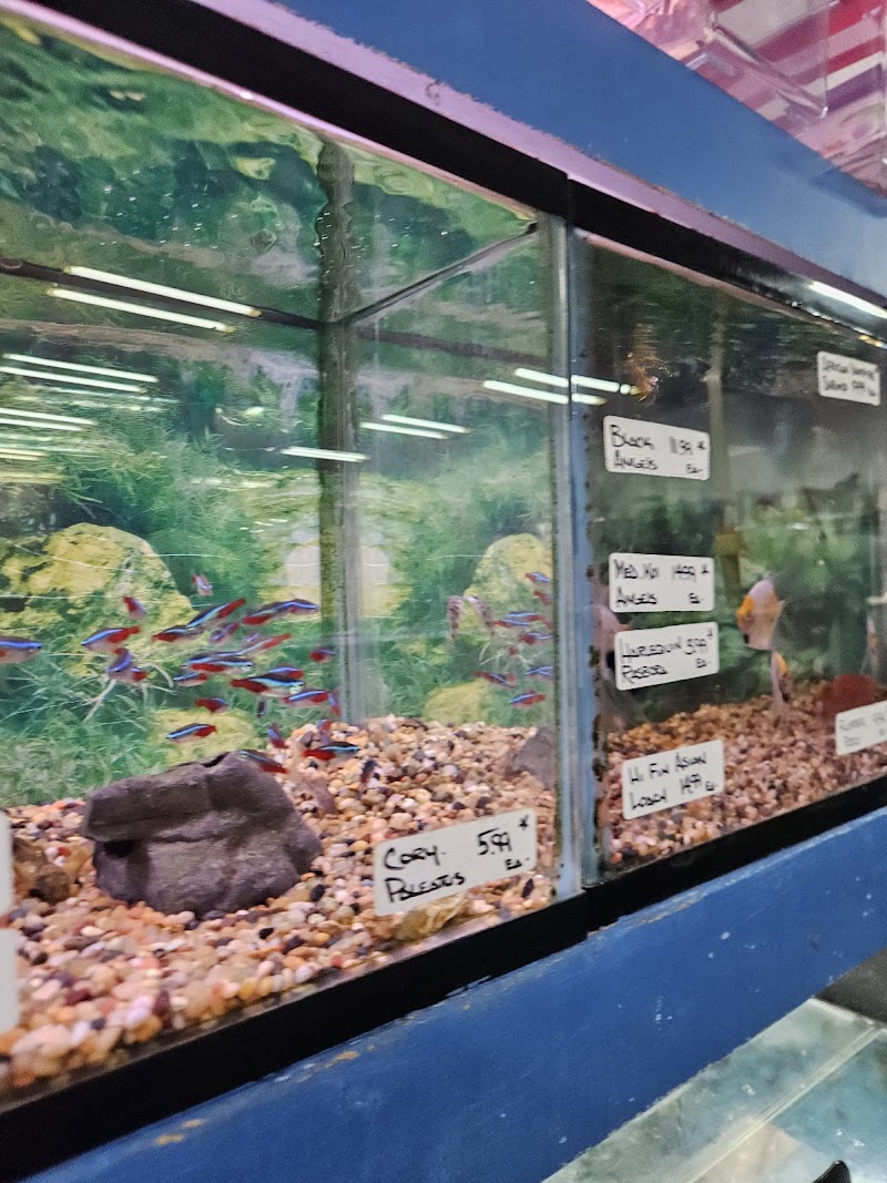 South Shore Tropicals - Photo 1