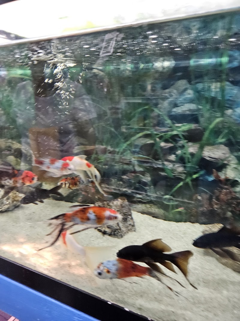 South Shore Tropicals - Photo 3