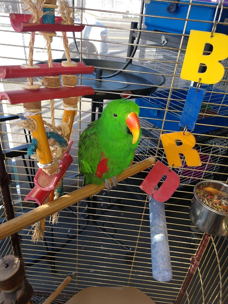 South Shore Tropicals - Photo 4