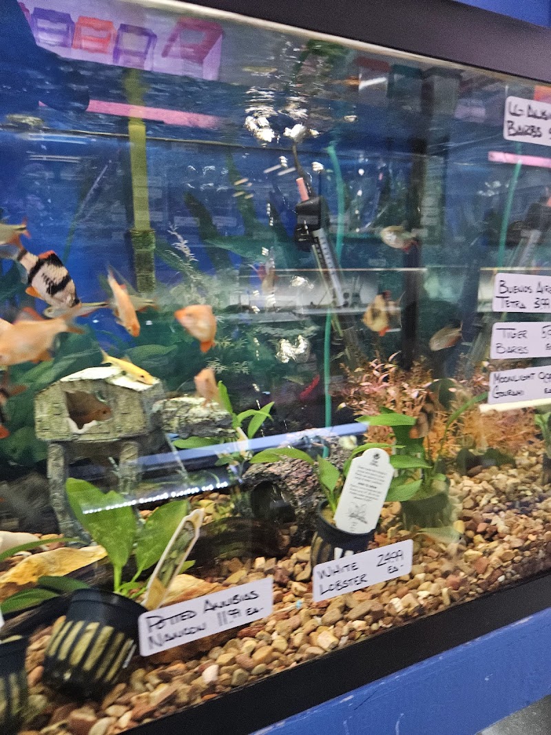 South Shore Tropicals - Photo 5