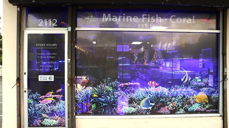 TIA Collection Corals (Tropical Island Aquatics) Saltwater Only - Photo 1