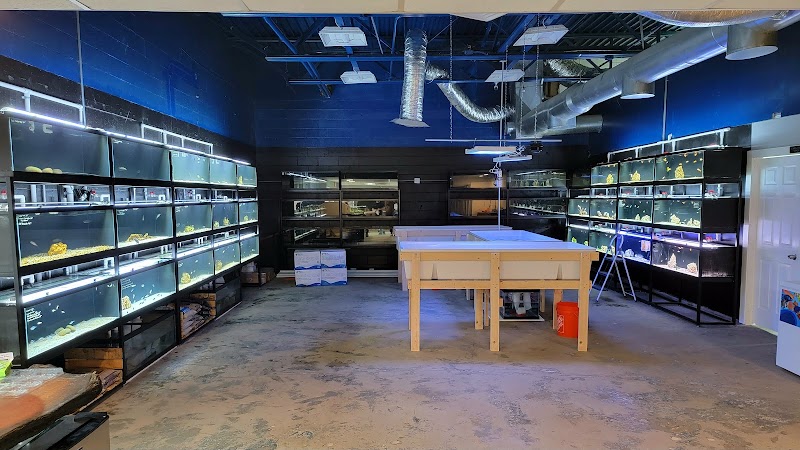 Fluid Dynamics Aquarium Services and Store - Photo 3