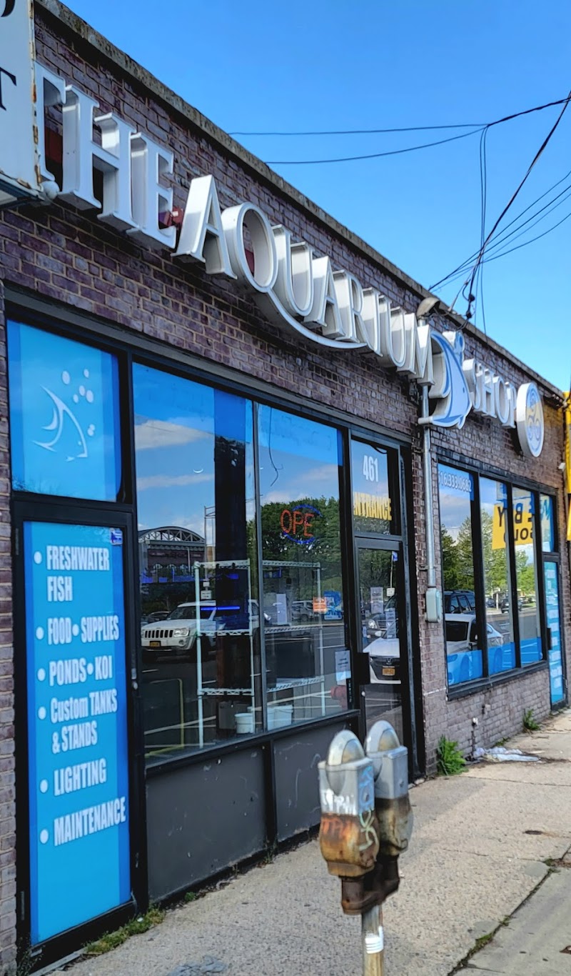 The Aquarium Shop Westbury - Photo 1