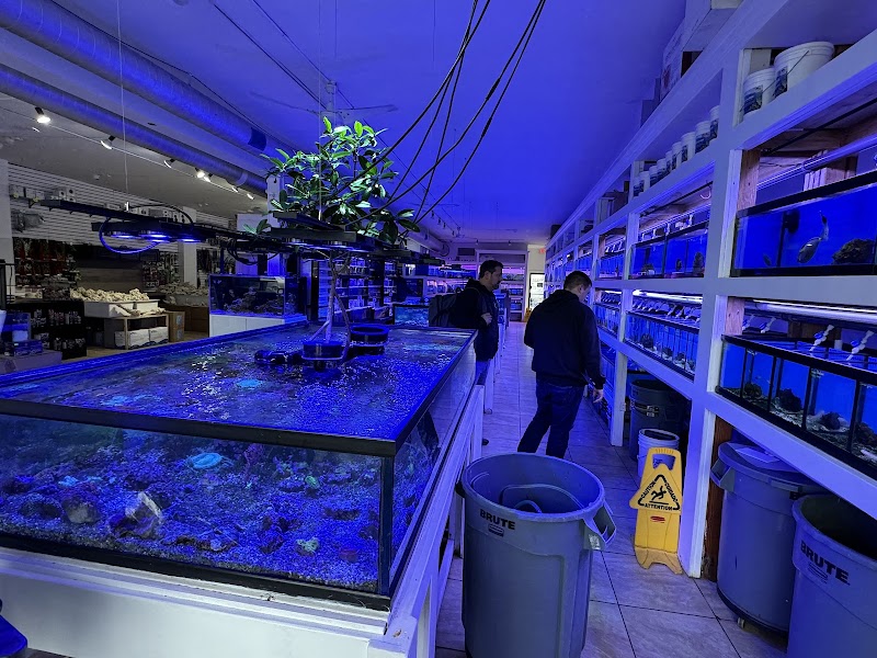The Aquarium Shop Westbury - Photo 3