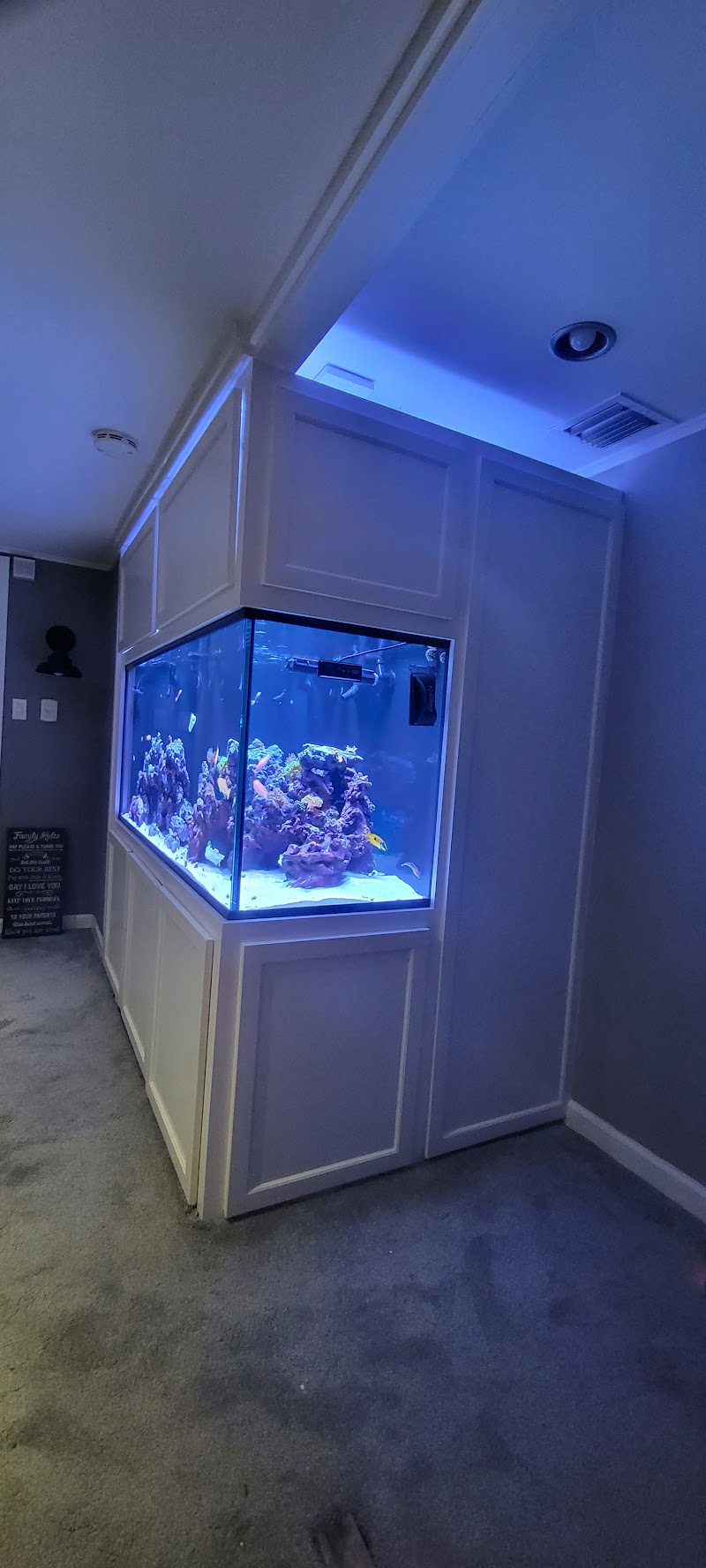 Aquarium Network - Photo 3