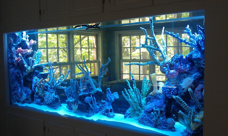 Aquarium Network - Photo 5