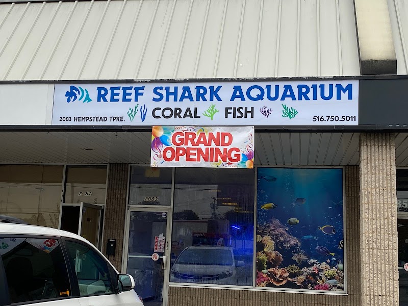 Reef Shark Aquarium Inc - Photo 1