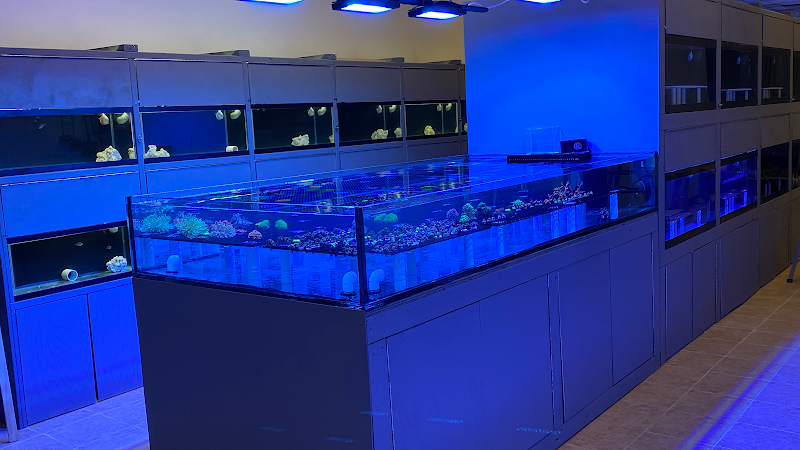 Reef Shark Aquarium Inc - Photo 2