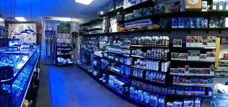 Aquatic Treasures - Photo 3