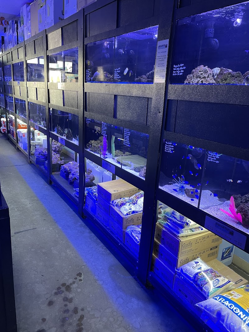 Aquatic Treasures - Photo 5