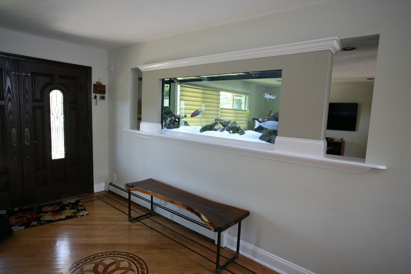 Dynamic Tank Design - Photo 1