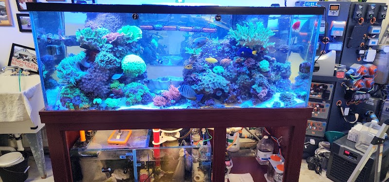 Dynamic Tank Design - Photo 2