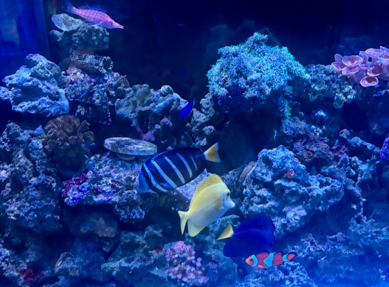 Dynamic Tank Design - Photo 4