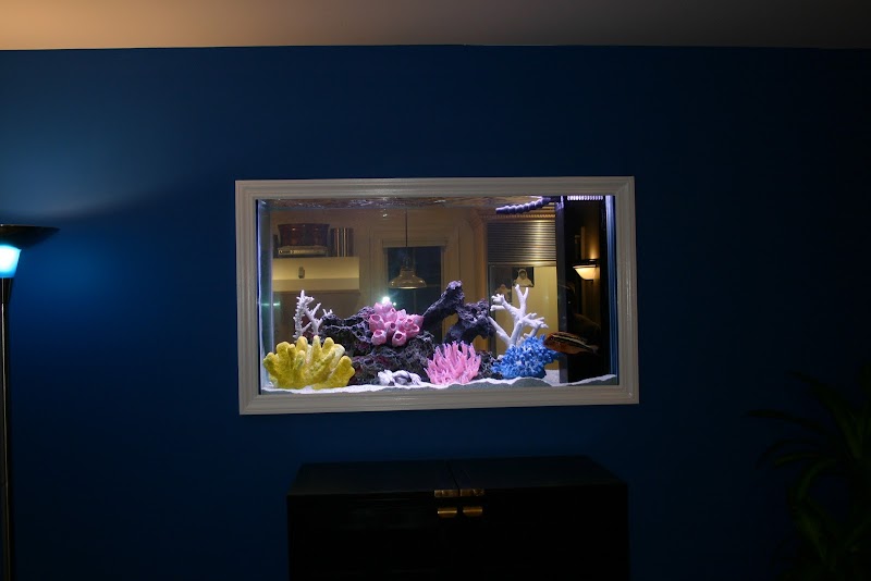 Dynamic Tank Design - Photo 5