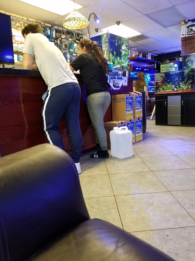 Total Aquariums - Photo 3