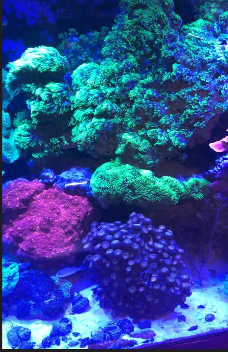 Total Aquariums - Photo 4