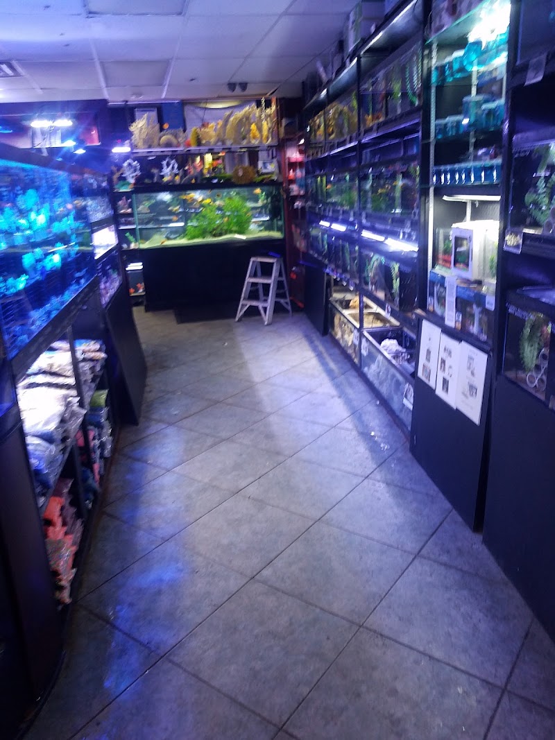 Total Aquariums - Photo 5