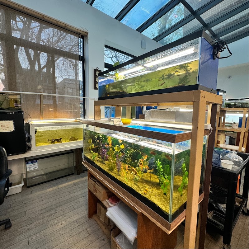 City Island Aquarium Tropical Fish Sales - Photo 2