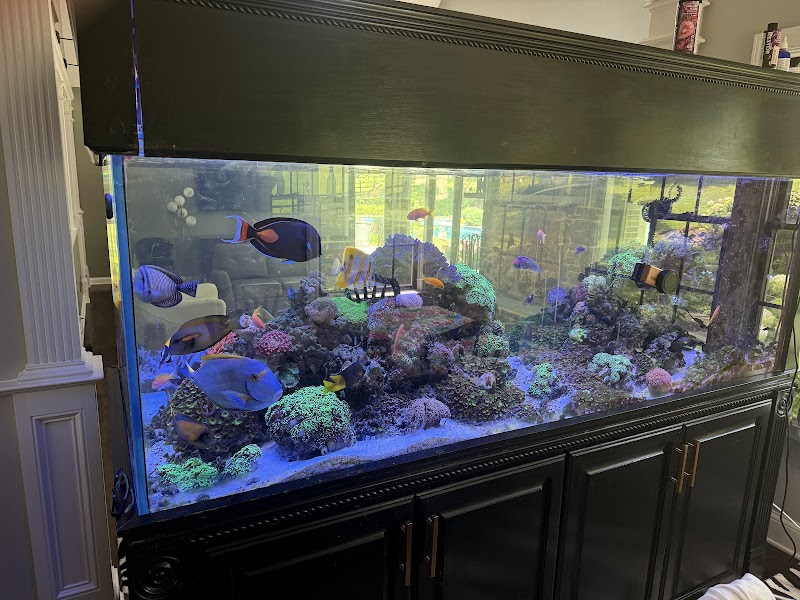 Michael's NYAquatic - Photo 1