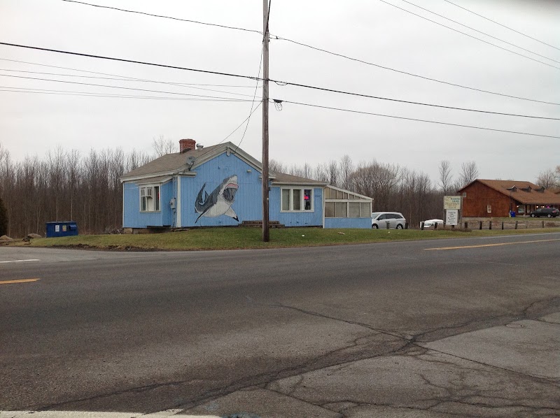 Marine Oasis - Photo 2