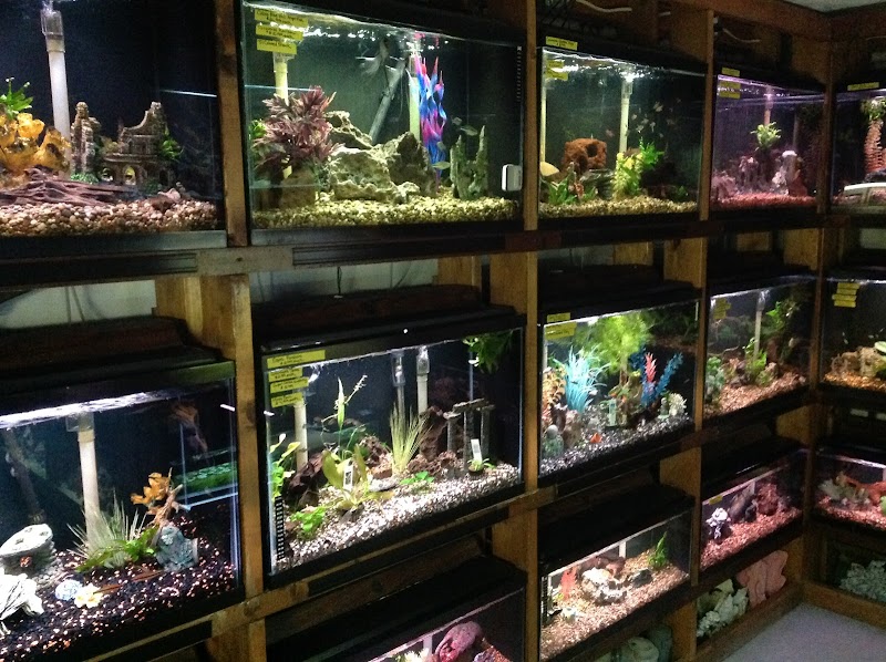 Marine Oasis - Photo 3