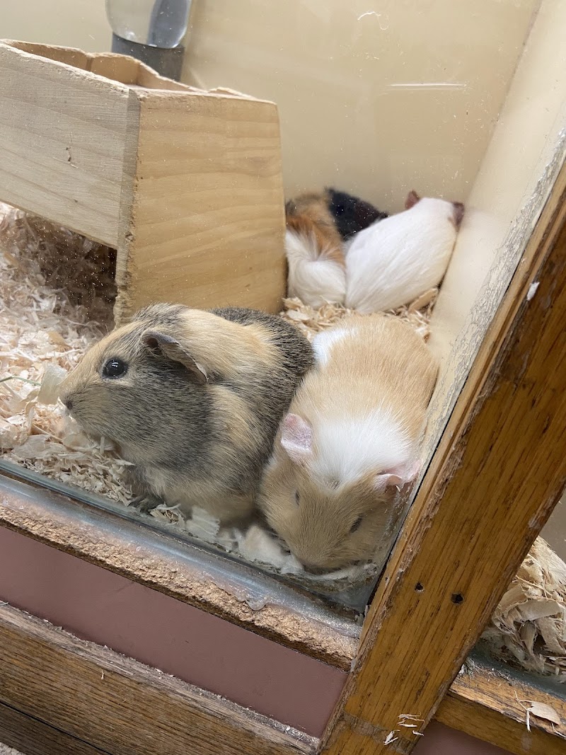 Pet World & Aqua Shoppe - Photo 4