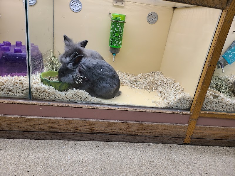 Pet World & Aqua Shoppe - Photo 5