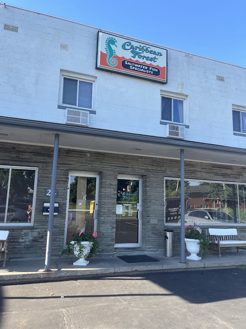 Caribbean Forest LLC - Photo 1