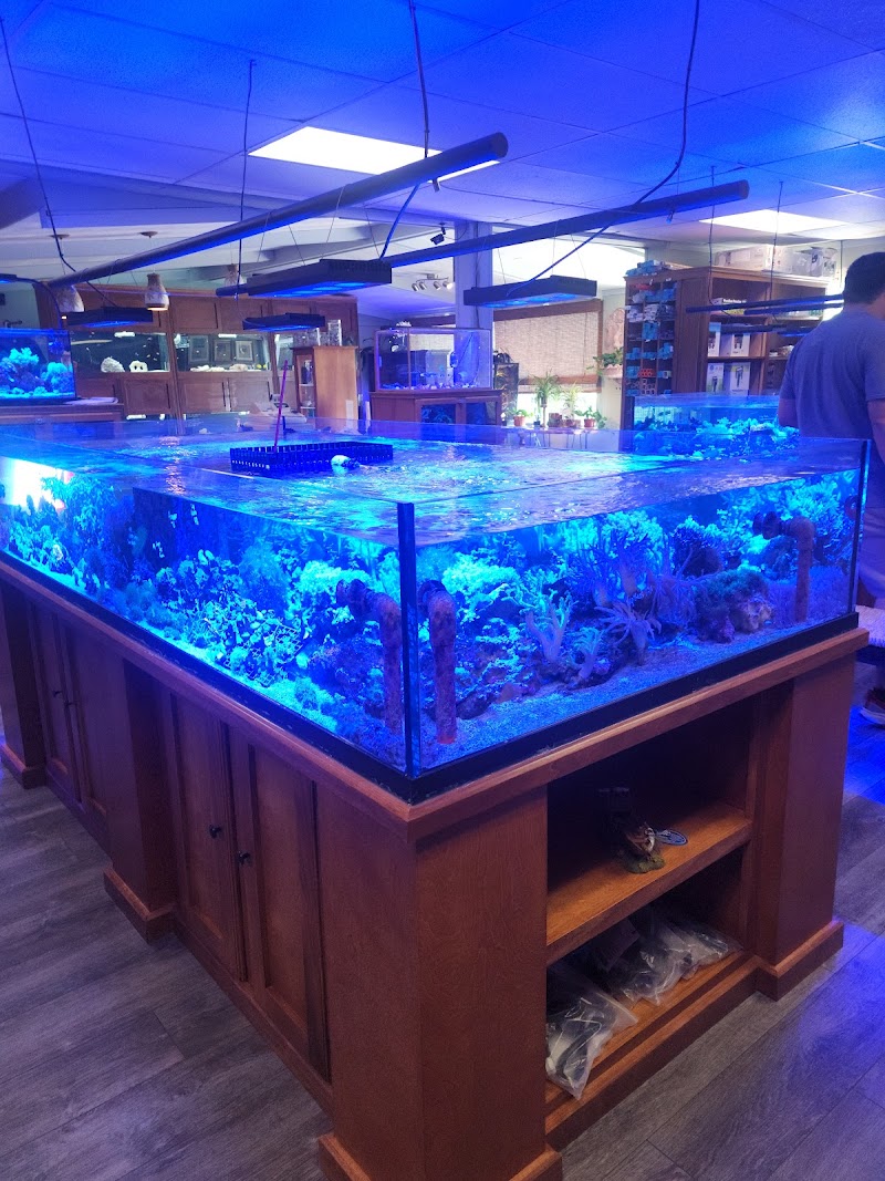 Caribbean Forest LLC - Photo 4