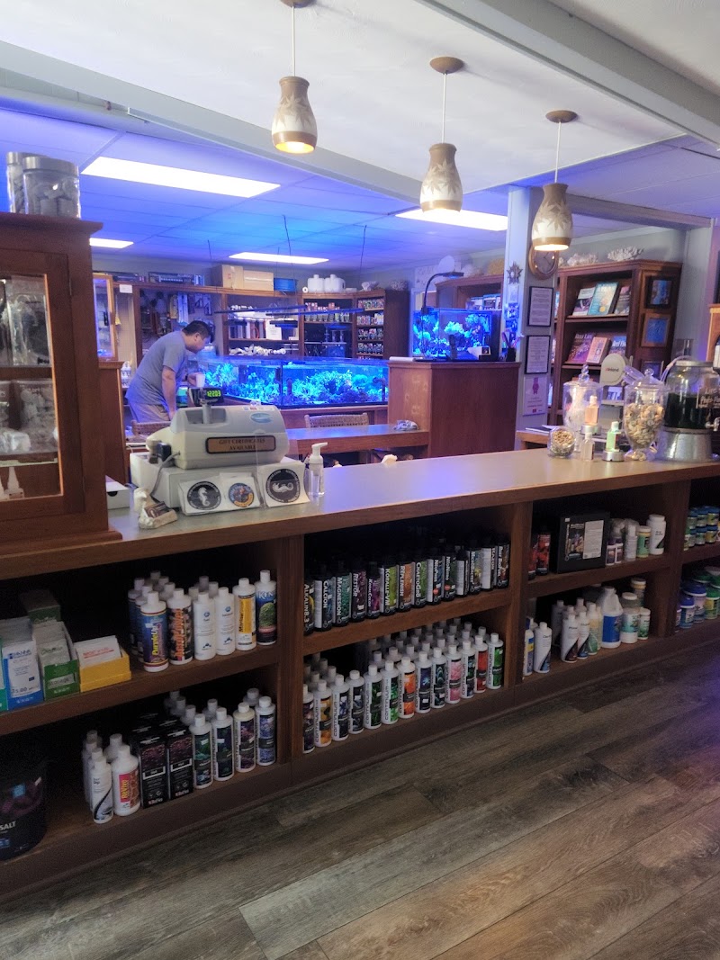 Caribbean Forest LLC - Photo 5