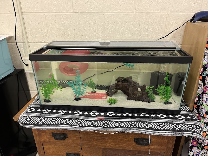 Luv A Lotl Axolotl/Reptile Boutique - Photo 4