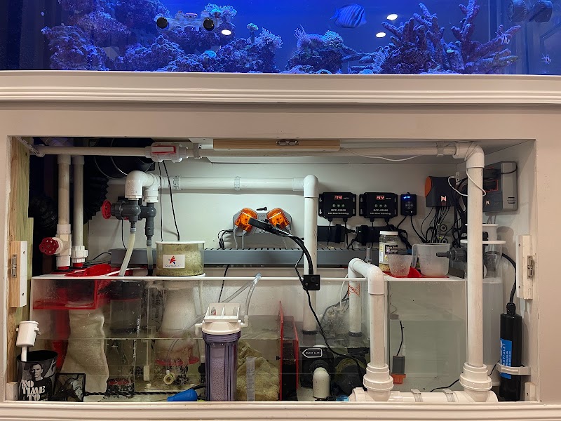 Island Fish & Reef - Photo 1