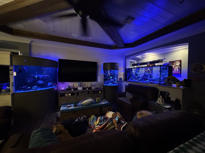 Island Fish & Reef - Photo 2