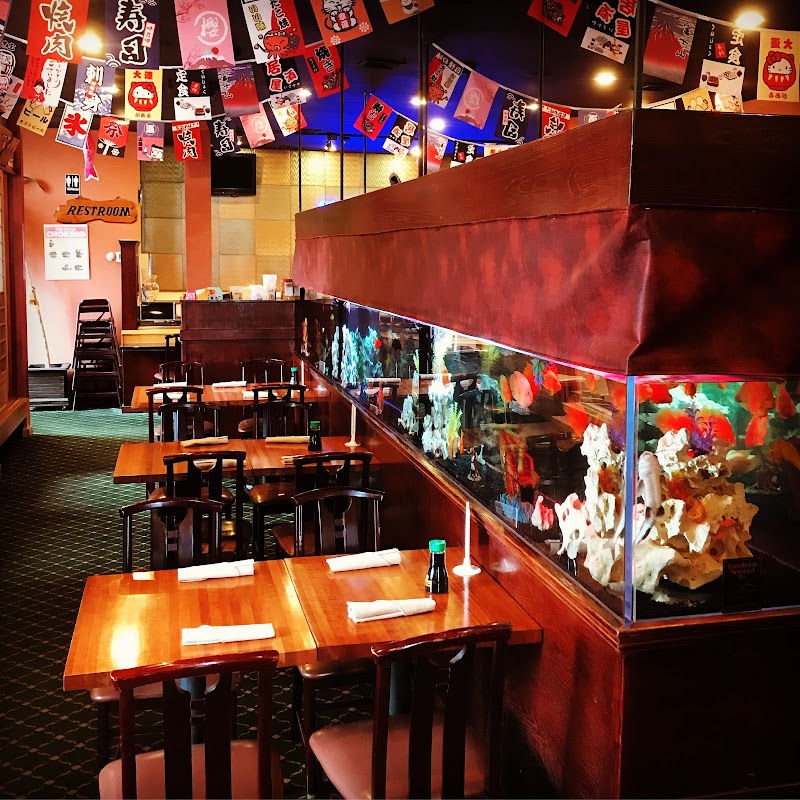 Island Fish & Reef - Photo 3